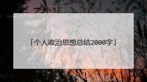 个人政治思想总结2000字