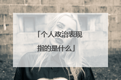 个人政治表现指的是什么