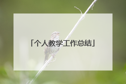 个人教学工作总结