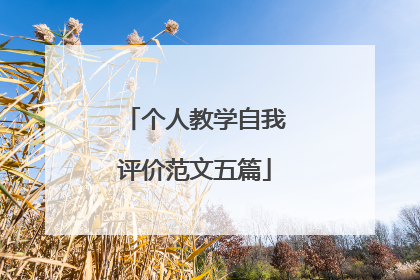 个人教学自我评价范文五篇