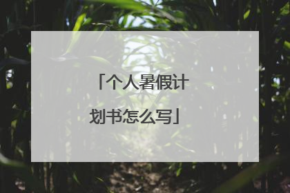 个人暑假计划书怎么写