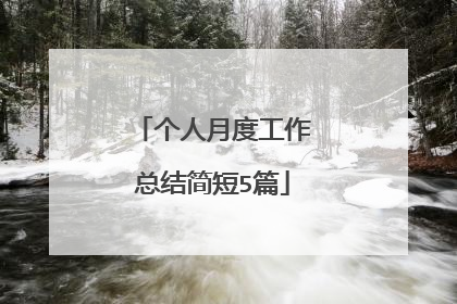 个人月度工作总结简短5篇