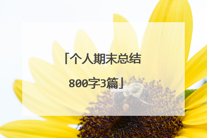 个人期末总结800字3篇