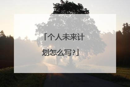 个人未来计划怎么写?