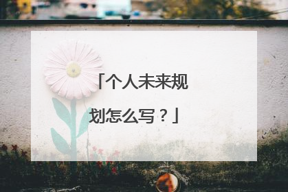 个人未来规划怎么写？