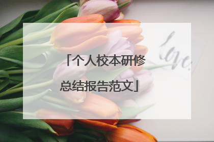 个人校本研修总结报告范文