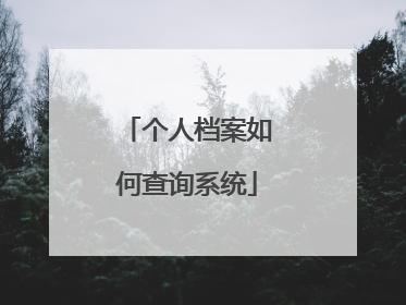 个人档案如何查询系统
