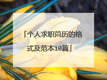 个人求职简历的格式及范本10篇