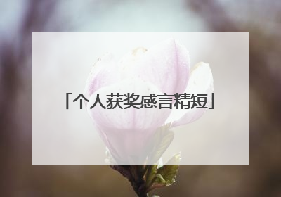 个人获奖感言精短