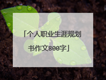 个人职业生涯规划书作文800字