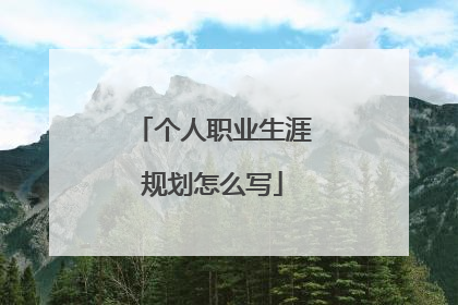 个人职业生涯规划怎么写