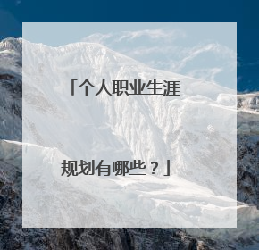 个人职业生涯规划有哪些？