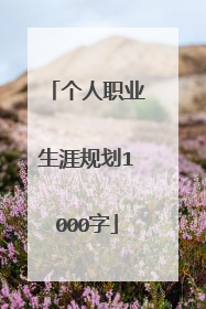 个人职业生涯规划1000字