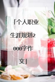 个人职业生涯规划2000字作文