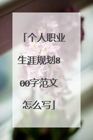 个人职业生涯规划800字范文怎么写