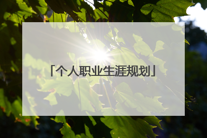 个人职业生涯规划