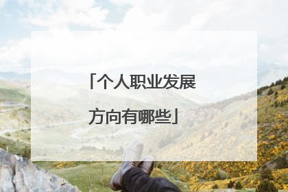 个人职业发展方向有哪些