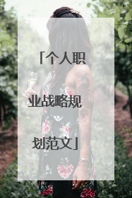 个人职业战略规划范文