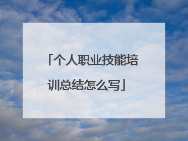 个人职业技能培训总结怎么写