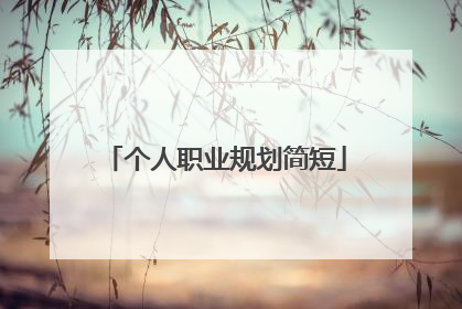 个人职业规划简短