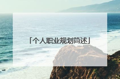 个人职业规划简述