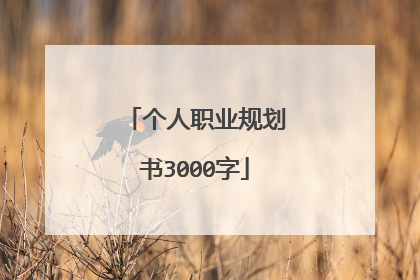 个人职业规划书3000字