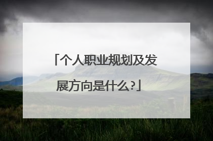 个人职业规划及发展方向是什么?