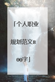 个人职业规划范文800字