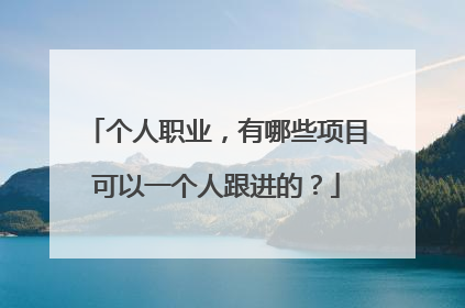 个人职业，有哪些项目可以一个人跟进的？