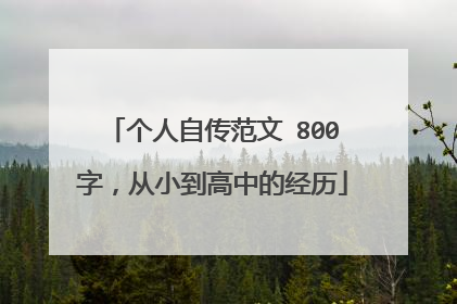个人自传范文 800字，从小到高中的经历