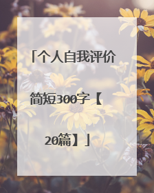 个人自我评价简短300字【20篇】