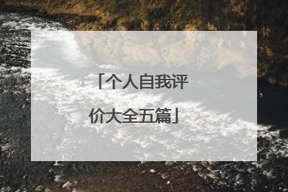 个人自我评价大全五篇