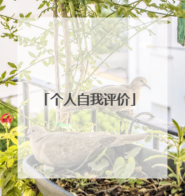 个人自我评价