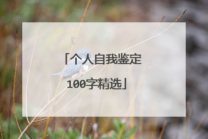 个人自我鉴定100字精选