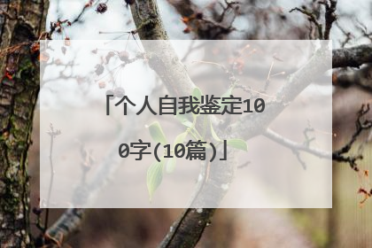 个人自我鉴定100字(10篇)