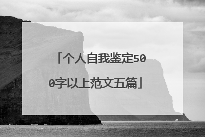 个人自我鉴定500字以上范文五篇