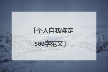 个人自我鉴定500字范文