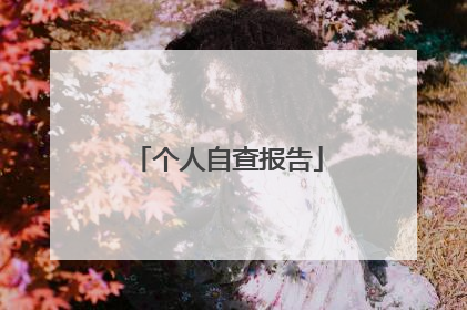 个人自查报告