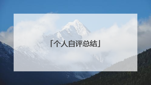 个人自评总结