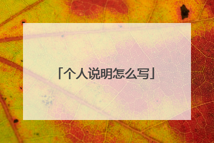 个人说明怎么写