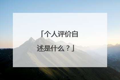 个人评价自述是什么？