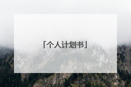 个人计划书