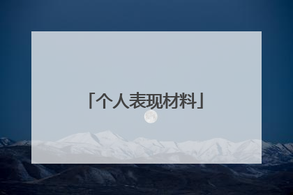 个人表现材料