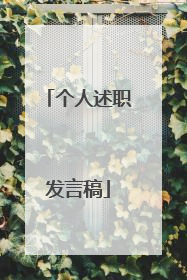 个人述职发言稿