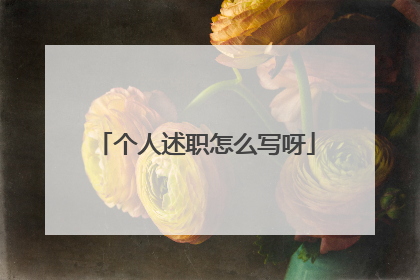 个人述职怎么写呀