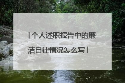 个人述职报告中的廉洁自律情况怎么写