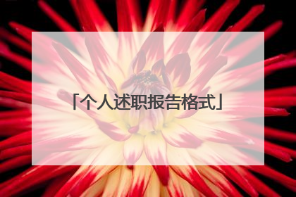 个人述职报告格式