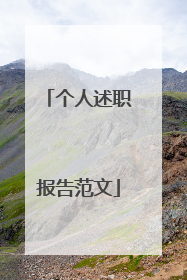 个人述职报告范文