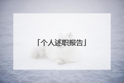个人述职报告