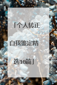 个人转正自我鉴定精选10篇